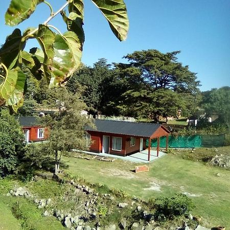 Cabanas Los Platanos La Granja Buitenkant foto