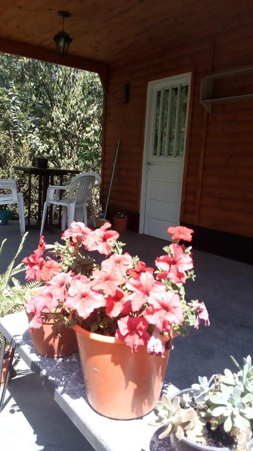 Cabanas Los Platanos La Granja Buitenkant foto