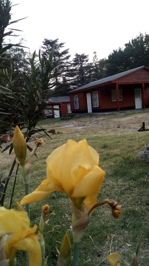 Cabanas Los Platanos La Granja Buitenkant foto