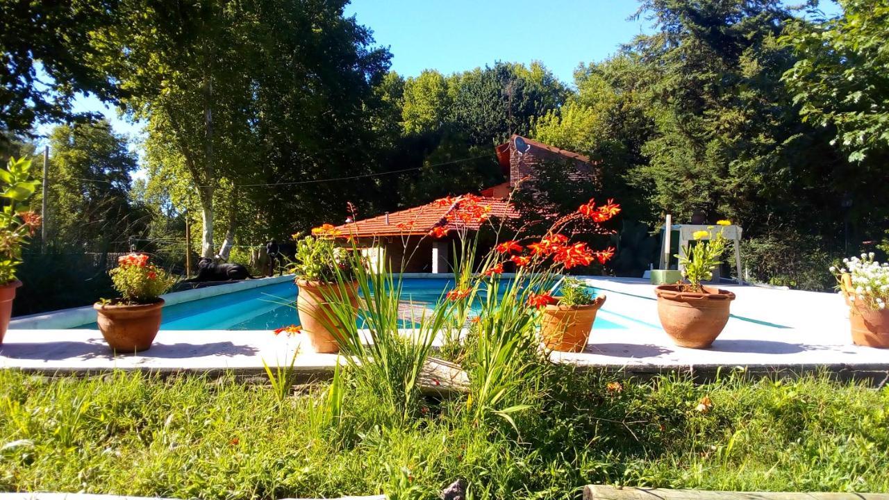 Cabanas Los Platanos La Granja Buitenkant foto